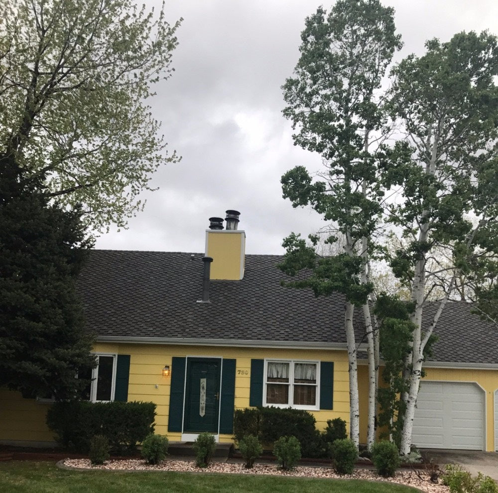 Yellow house with green door freshly painted by Bill's Painting
